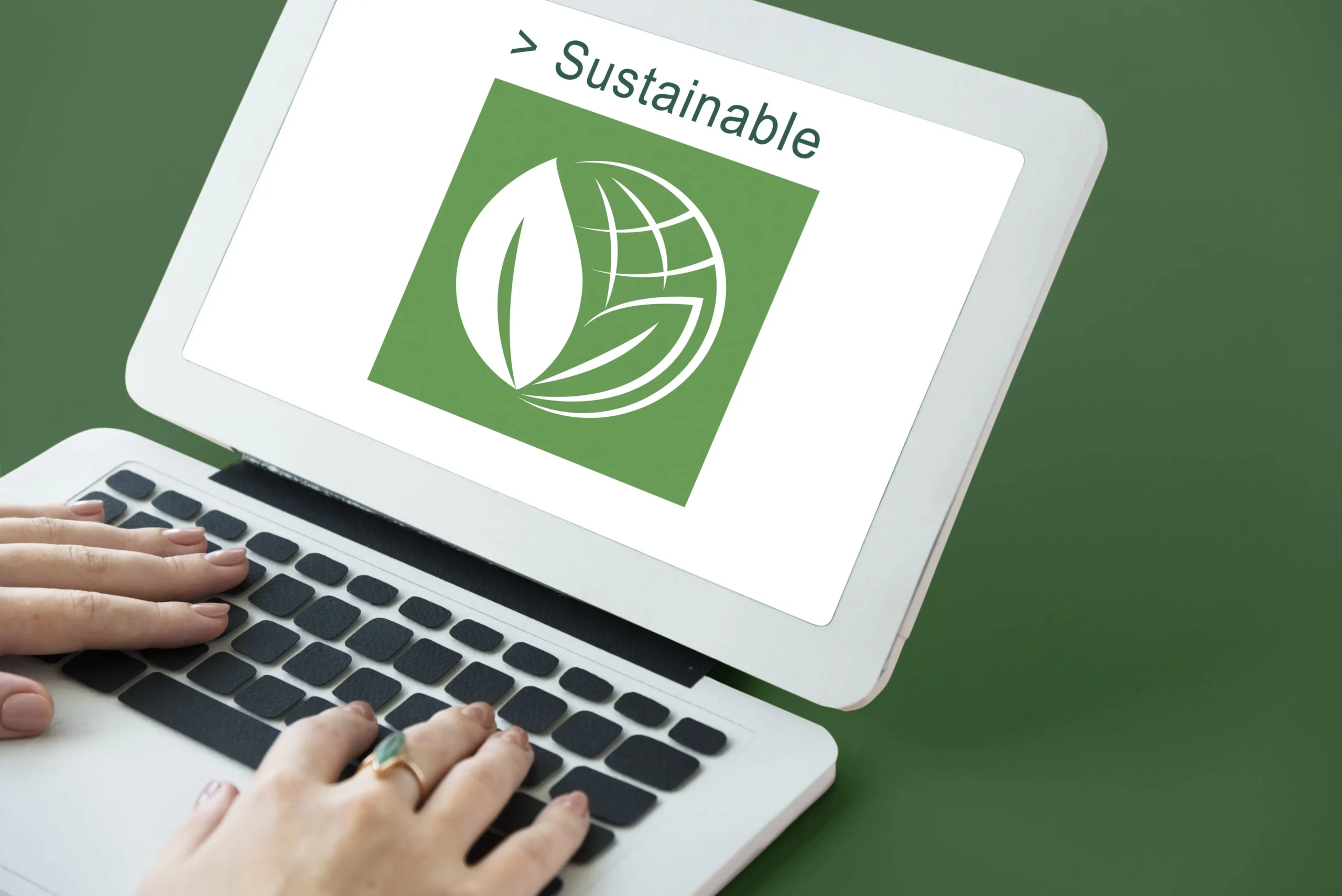 Sustainable web development