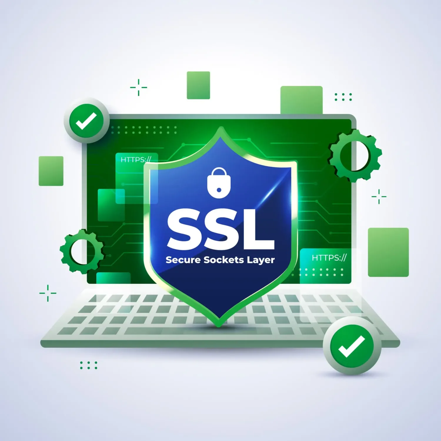 SSL certificate